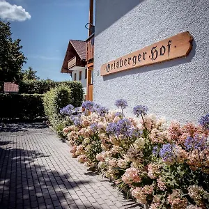 Geisbergerhof Apartment